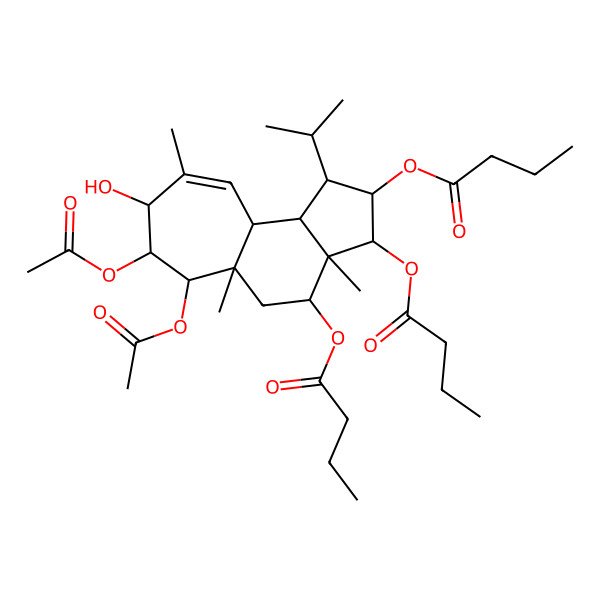 2D Structure of [(1R,2R,3R,3aR,4S,5aR,6S,7S,8S,10aS,10bR)-6,7-diacetyloxy-2,3-di(butanoyloxy)-8-hydroxy-3a,5a,9-trimethyl-1-propan-2-yl-1,2,3,4,5,6,7,8,10a,10b-decahydrocyclohepta[e]inden-4-yl] butanoate