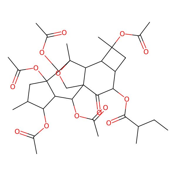 2D Structure of (2,4,7,8,12-Pentaacetyloxy-5,9,12-trimethyl-16-oxo-18-oxapentacyclo[7.7.2.01,10.03,7.011,14]octadecan-15-yl) 2-methylbutanoate