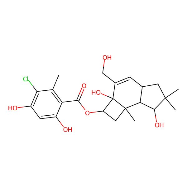 2D Structure of [(2R,2aS,4aS,7aS,7bR)-2a,7-dihydroxy-3-(hydroxymethyl)-6,6,7b-trimethyl-1,2,4a,5,7,7a-hexahydrocyclobuta[e]inden-2-yl] 3-chloro-4,6-dihydroxy-2-methylbenzoate