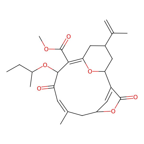 2D Structure of methyl (1S,5R,10S,14R)-10-[(2S)-butan-2-yl]oxy-7-methyl-3,9-dioxo-14-prop-1-en-2-yl-4,16-dioxatricyclo[10.3.1.12,5]heptadeca-2(17),7,11-triene-11-carboxylate