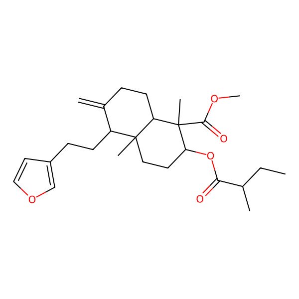 2D Structure of methyl 5-[2-(furan-3-yl)ethyl]-1,4a-dimethyl-2-(2-methylbutanoyloxy)-6-methylidene-3,4,5,7,8,8a-hexahydro-2H-naphthalene-1-carboxylate