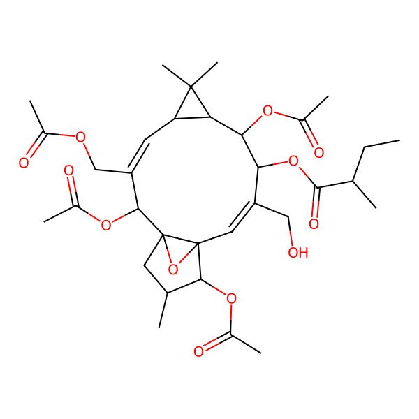 2D Structure of [(1S,2S,3E,5R,7S,8S,9R,10E,12S,13S,14S)-2,8,13-triacetyloxy-3-(acetyloxymethyl)-10-(hydroxymethyl)-6,6,14-trimethyl-16-oxatetracyclo[10.3.1.01,12.05,7]hexadeca-3,10-dien-9-yl] (2R)-2-methylbutanoate