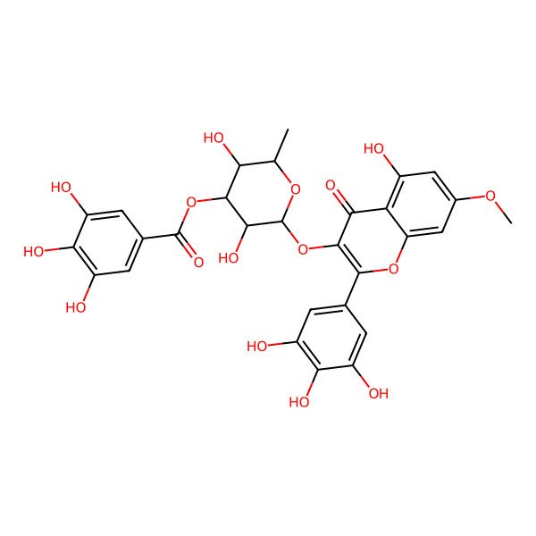 2D Structure of [3,5-Dihydroxy-2-[5-hydroxy-7-methoxy-4-oxo-2-(3,4,5-trihydroxyphenyl)chromen-3-yl]oxy-6-methyloxan-4-yl] 3,4,5-trihydroxybenzoate