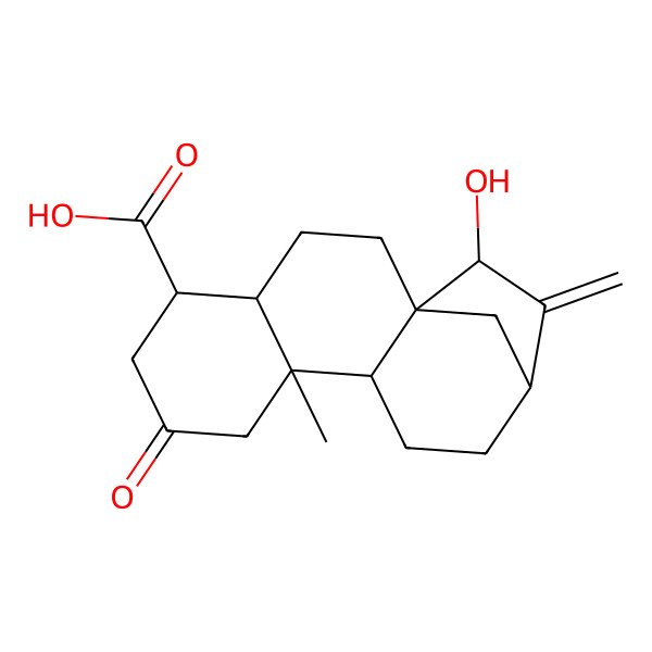 2D Structure of (1R,4R,5R,9R,10S,13R,15S)-15-hydroxy-9-methyl-14-methylidene-7-oxotetracyclo[11.2.1.01,10.04,9]hexadecane-5-carboxylic acid