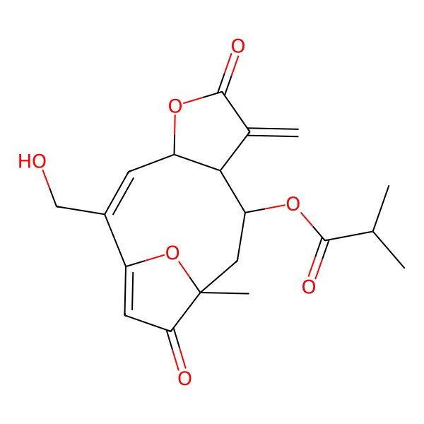 2D Structure of [(2Z,4R,8R,9R,11R)-2-(hydroxymethyl)-11-methyl-7-methylidene-6,12-dioxo-5,14-dioxatricyclo[9.2.1.04,8]tetradeca-1(13),2-dien-9-yl] 2-methylpropanoate