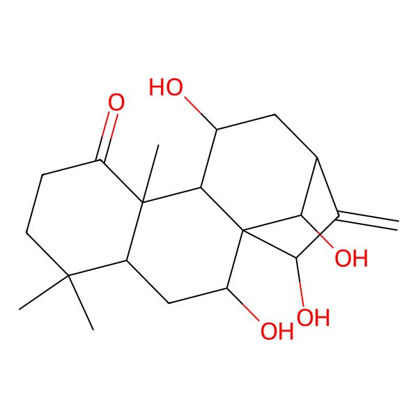 2D Structure of (1R,2R,4S,9S,10S,11S,13S,15R,16R)-2,11,15,16-tetrahydroxy-5,5,9-trimethyl-14-methylidenetetracyclo[11.2.1.01,10.04,9]hexadecan-8-one