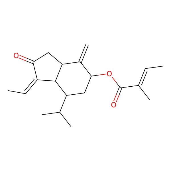 2D Structure of (1-Ethylidene-4-methylidene-2-oxo-7-propan-2-yl-3,3a,5,6,7,7a-hexahydroinden-5-yl) 2-methylbut-2-enoate