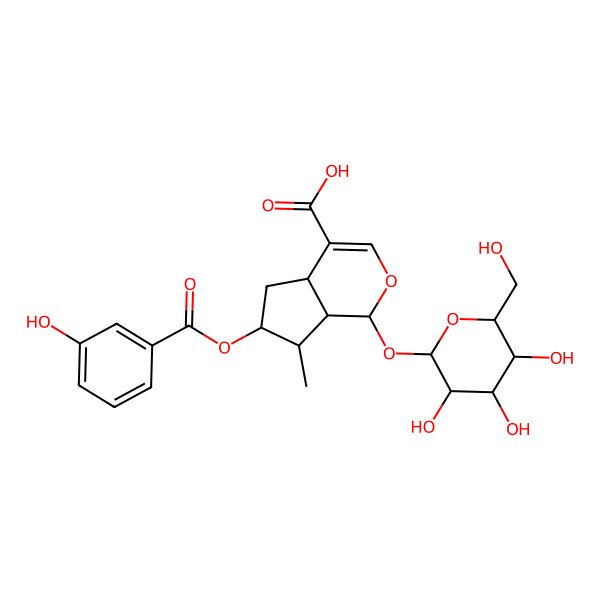 2D Structure of Cyclopenta[c]pyran-4-carboxylic acid, 1-(beta-D-glucopyranosyloxy)-1,4a,5,6,7,7a-hexahydro-6-[(3-hydroxybenzoyl)oxy]-7-methyl-, (1S,4aS,6R,7R,7aS)-