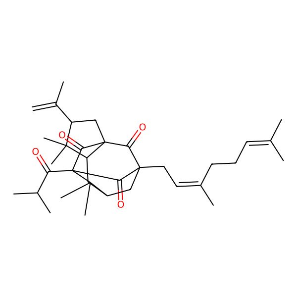 2D Structure of (1S,3S,5S,7R,9S,11R)-11-[(2E)-3,7-dimethylocta-2,6-dienyl]-4,4,8,8-tetramethyl-9-(2-methylpropanoyl)-3-prop-1-en-2-yltetracyclo[7.3.1.17,11.01,5]tetradecane-10,12,13-trione