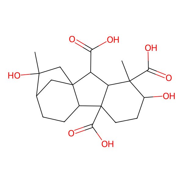 2D Structure of (1R,2S,3S,4S,5S,8R,9S,12R,13R)-5,13-dihydroxy-4,13-dimethyltetracyclo[10.2.1.01,9.03,8]pentadecane-2,4,8-tricarboxylic acid