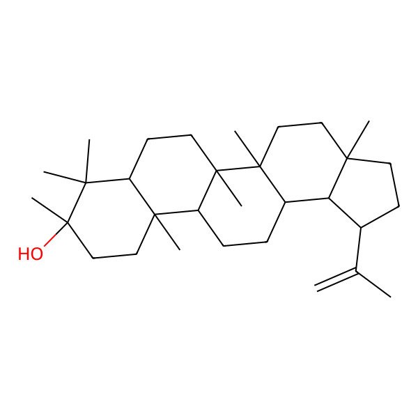 2D Structure of (3aR,5aS,5bR,9R,11aR)-3a,5a,5b,8,8,9,11a-heptamethyl-1-prop-1-en-2-yl-2,3,4,5,6,7,7a,10,11,11b,12,13,13a,13b-tetradecahydro-1H-cyclopenta[a]chrysen-9-ol