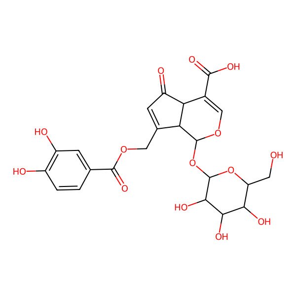 2D Structure of 7-[(3,4-dihydroxybenzoyl)oxymethyl]-5-oxo-1-[3,4,5-trihydroxy-6-(hydroxymethyl)oxan-2-yl]oxy-4a,7a-dihydro-1H-cyclopenta[c]pyran-4-carboxylic acid