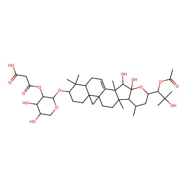 2D Structure of 3-[(2S,3R,4S,5R)-2-[[(1R,4R,5R,6R,8R,10R,11R,12R,16R,18S,21R)-8-[(1R)-1-acetyloxy-2-hydroxy-2-methylpropyl]-10,11-dihydroxy-4,6,12,17,17-pentamethyl-9-oxahexacyclo[11.9.0.01,21.04,12.05,10.016,21]docos-13-en-18-yl]oxy]-4,5-dihydroxyoxan-3-yl]oxy-3-oxopropanoic acid