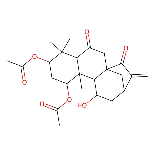 2D Structure of (8-Acetyloxy-11-hydroxy-5,5,9-trimethyl-14-methylidene-3,15-dioxo-6-tetracyclo[11.2.1.01,10.04,9]hexadecanyl) acetate