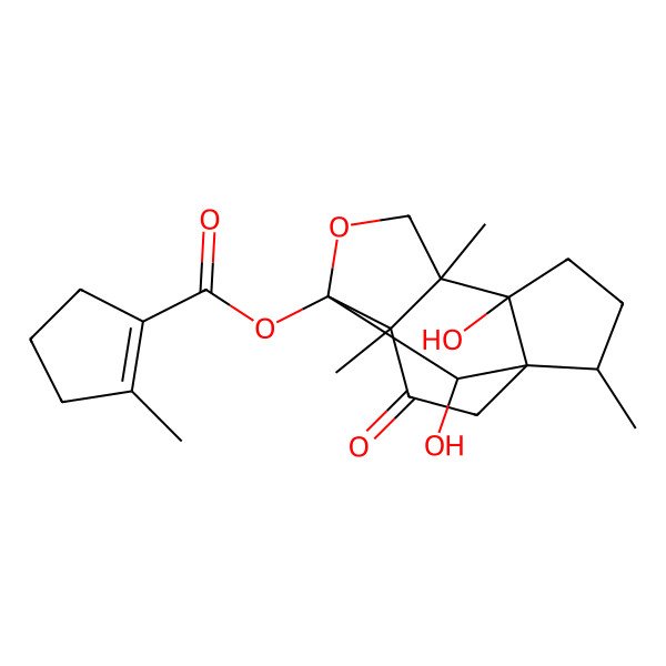 2D Structure of (5,13-Dihydroxy-2,6,10-trimethyl-11-oxo-8-oxatetracyclo[7.3.1.01,5.06,10]tridecan-9-yl) 2-methylcyclopentene-1-carboxylate