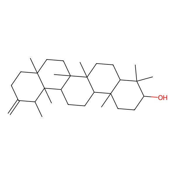 2D Structure of 4,4,6a,6b,8a,12,12a,14b-octamethyl-11-methylidene-2,3,4a,5,6,6a,7,8,9,10,12,13,14,14a-tetradecahydro-1H-picen-3-ol