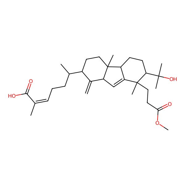 2D Structure of (Z,6R)-6-[(2R,4aS,4bS,7R,8S,9aS)-7-(2-hydroxypropan-2-yl)-8-(3-methoxy-3-oxopropyl)-4a,8-dimethyl-1-methylidene-2,3,4,4b,5,6,7,9a-octahydrofluoren-2-yl]-2-methylhept-2-enoic acid
