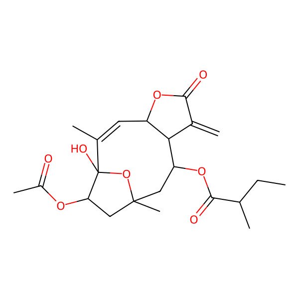2D Structure of [(1R,2Z,4R,8R,9R,11S,13S)-13-acetyloxy-1-hydroxy-2,11-dimethyl-7-methylidene-6-oxo-5,14-dioxatricyclo[9.2.1.04,8]tetradec-2-en-9-yl] (2R)-2-methylbutanoate