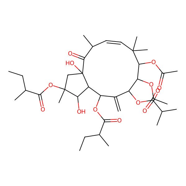 2D Structure of [9,10-Diacetyloxy-1,3a-dihydroxy-2,5,8,8-tetramethyl-2-(2-methylbutanoyloxy)-12-methylidene-11-(2-methylpropanoyloxy)-4-oxo-1,3,5,9,10,11,13,13a-octahydrocyclopenta[12]annulen-13-yl] 2-methylbutanoate