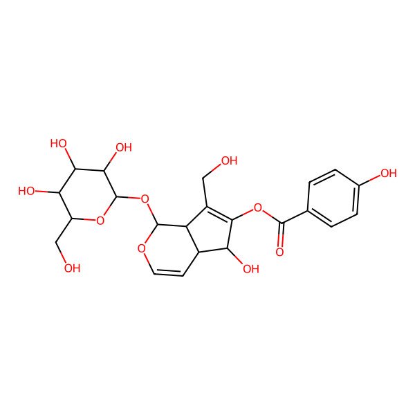 2D Structure of [(1S,4aR,5S,7aS)-5-hydroxy-7-(hydroxymethyl)-1-[(2S,3R,4S,5S,6R)-3,4,5-trihydroxy-6-(hydroxymethyl)oxan-2-yl]oxy-1,4a,5,7a-tetrahydrocyclopenta[c]pyran-6-yl] 4-hydroxybenzoate