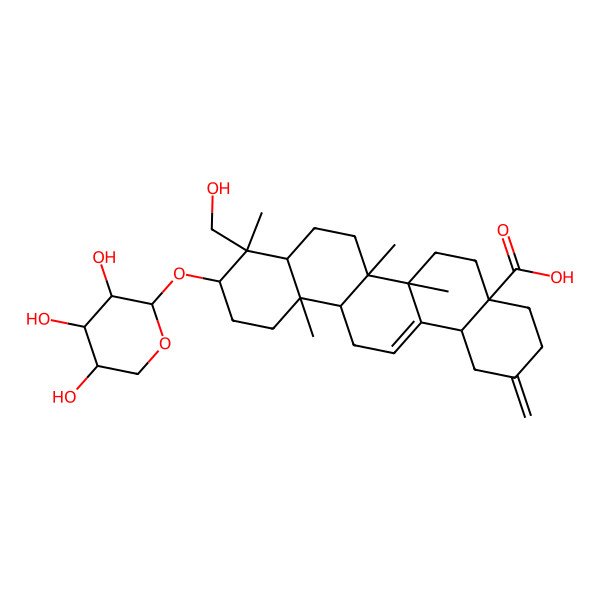 2D Structure of 9-(Hydroxymethyl)-6a,6b,9,12a-tetramethyl-2-methylidene-10-(3,4,5-trihydroxyoxan-2-yl)oxy-1,3,4,5,6,6a,7,8,8a,10,11,12,13,14b-tetradecahydropicene-4a-carboxylic acid
