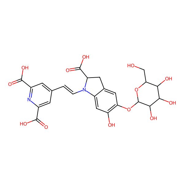 2D Structure of 4-[(E)-2-[2-carboxy-6-hydroxy-5-[3,4,5-trihydroxy-6-(hydroxymethyl)oxan-2-yl]oxy-2,3-dihydroindol-1-yl]ethenyl]pyridine-2,6-dicarboxylic acid