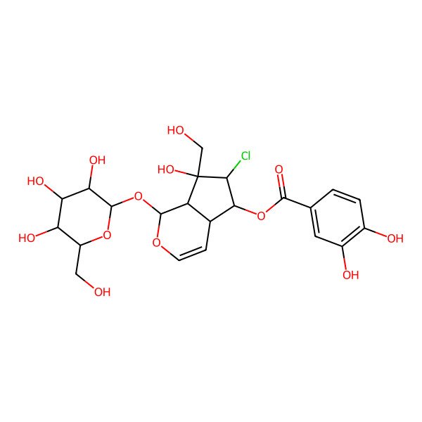 2D Structure of [(1S,4aR,5S,6R,7S,7aS)-6-chloro-7-hydroxy-7-(hydroxymethyl)-1-[(2S,3R,4S,5S,6R)-3,4,5-trihydroxy-6-(hydroxymethyl)oxan-2-yl]oxy-4a,5,6,7a-tetrahydro-1H-cyclopenta[c]pyran-5-yl] 3,4-dihydroxybenzoate