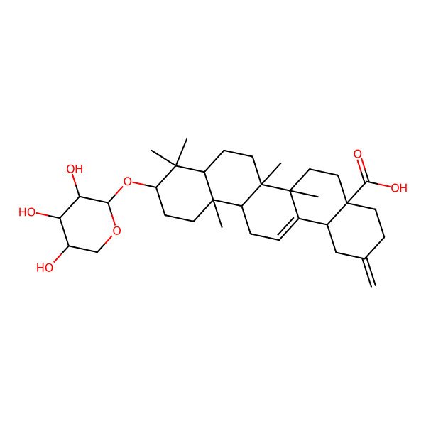 2D Structure of 6a,6b,9,9,12a-Pentamethyl-2-methylidene-10-(3,4,5-trihydroxyoxan-2-yl)oxy-1,3,4,5,6,6a,7,8,8a,10,11,12,13,14b-tetradecahydropicene-4a-carboxylic acid