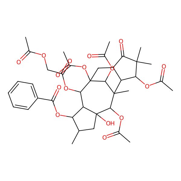 2D Structure of [(1R,2R,3R,4S,5S,7R,8R,9R,10S,11S,14R,16R)-1,8,11,16-tetraacetyloxy-2-(2-acetyloxyacetyl)oxy-7-hydroxy-5,9,12,12-tetramethyl-13-oxo-4-tetracyclo[7.6.1.03,7.010,14]hexadecanyl] benzoate