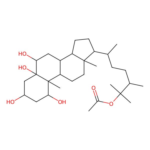 2D Structure of [(3S,6R)-2,3-dimethyl-6-[(1R,3S,5R,6R,8S,9S,10S,13R,14S,17R)-1,3,5,6-tetrahydroxy-10,13-dimethyl-1,2,3,4,6,7,8,9,11,12,14,15,16,17-tetradecahydrocyclopenta[a]phenanthren-17-yl]heptan-2-yl] acetate