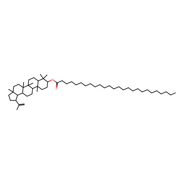 2D Structure of (3a,5a,5b,8,8,11a-Hexamethyl-1-prop-1-en-2-yl-1,2,3,4,5,6,7,7a,9,10,11,11b,12,13,13a,13b-hexadecahydrocyclopenta[a]chrysen-9-yl) hexacosanoate