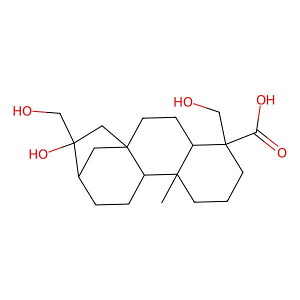 2D Structure of (1S,4S,5R,9S,10R,13R,14S)-14-hydroxy-5,14-bis(hydroxymethyl)-9-methyltetracyclo[11.2.1.01,10.04,9]hexadecane-5-carboxylic acid