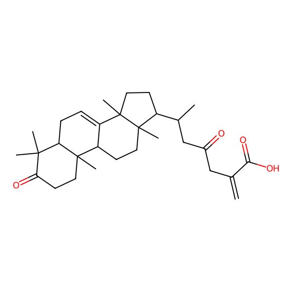 2D Structure of (6R)-2-methylidene-4-oxo-6-[(5R,9S,10R,13R,14R,17R)-4,4,10,13,14-pentamethyl-3-oxo-1,2,5,6,9,11,12,15,16,17-decahydrocyclopenta[a]phenanthren-17-yl]heptanoic acid