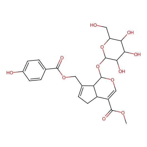 2D Structure of Methyl 7-[(4-hydroxybenzoyl)oxymethyl]-1-[3,4,5-trihydroxy-6-(hydroxymethyl)oxan-2-yl]oxy-1,4a,5,7a-tetrahydrocyclopenta[c]pyran-4-carboxylate
