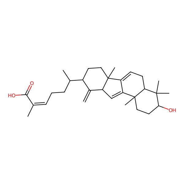 2D Structure of (Z,6R)-6-[(3S,4aR,6bR,9R,10aS,11bS)-3-hydroxy-4,4,6b,11b-tetramethyl-10-methylidene-2,3,4a,5,7,8,9,10a-octahydro-1H-benzo[a]fluoren-9-yl]-2-methylhept-2-enoic acid