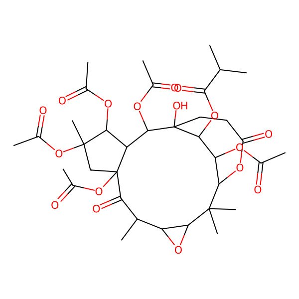2D Structure of (8,10,11,13,19-Pentaacetyloxy-14-hydroxy-2,2,6,10-tetramethyl-7,17-dioxo-4,18-dioxatetracyclo[12.4.2.03,5.08,12]icosan-20-yl) 2-methylpropanoate