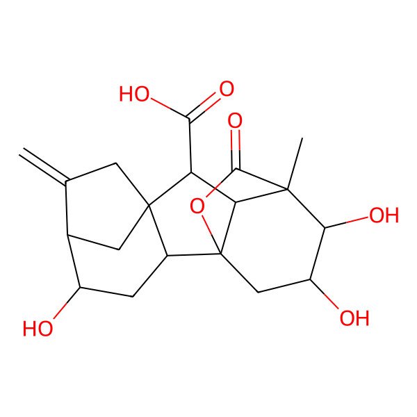 2D Structure of (1R,2R,4R,5R,8S,9S,10R,11S,12R,13S)-4,12,13-trihydroxy-11-methyl-6-methylidene-16-oxo-15-oxapentacyclo[9.3.2.15,8.01,10.02,8]heptadecane-9-carboxylic acid