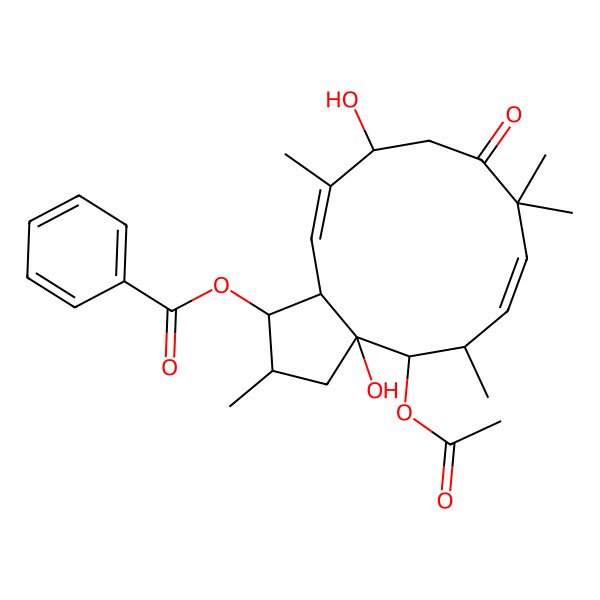 2D Structure of [(1S,2S,3aR,4S,5S,6E,11R,12E,13aS)-4-acetyloxy-3a,11-dihydroxy-2,5,8,8,12-pentamethyl-9-oxo-1,2,3,4,5,10,11,13a-octahydrocyclopenta[12]annulen-1-yl] benzoate