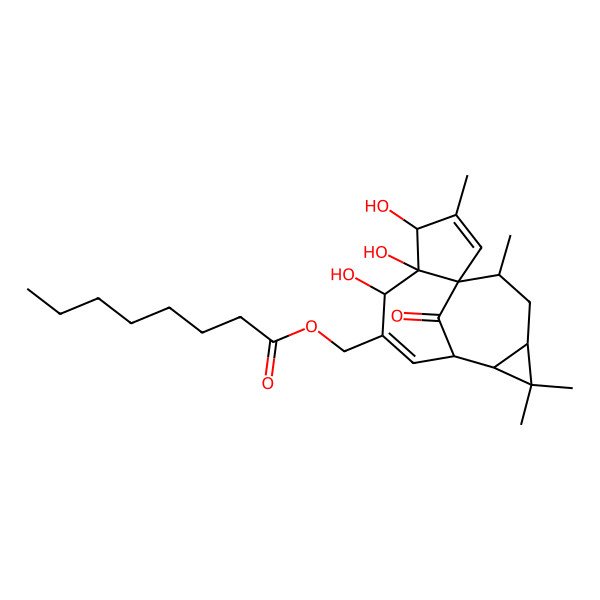 2D Structure of [(1S,4S,5R,6R,9R,10R,12R,14R)-4,5,6-trihydroxy-3,11,11,14-tetramethyl-15-oxo-7-tetracyclo[7.5.1.01,5.010,12]pentadeca-2,7-dienyl]methyl octanoate