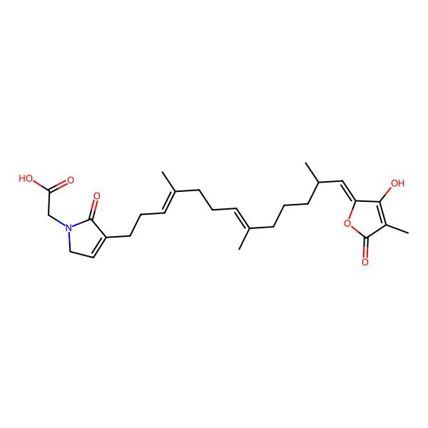 2D Structure of Ircinialactam A