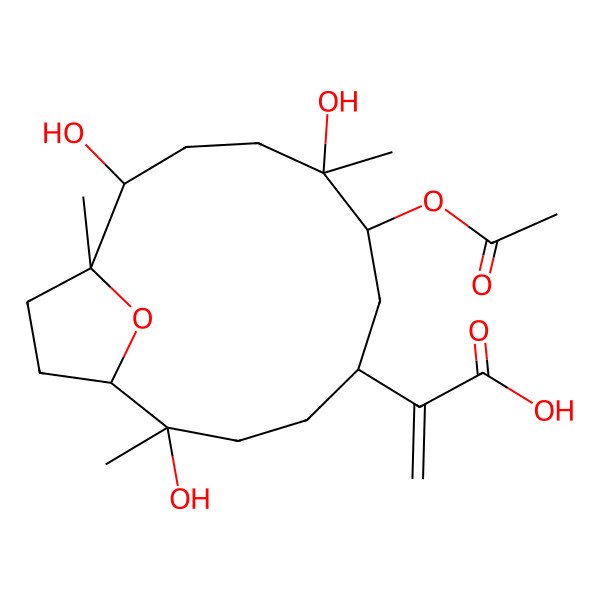 2D Structure of 2-[(1S,2R,5R,7S,8S,11S,12R)-7-acetyloxy-2,8,11-trihydroxy-2,8,12-trimethyl-15-oxabicyclo[10.2.1]pentadecan-5-yl]prop-2-enoic acid
