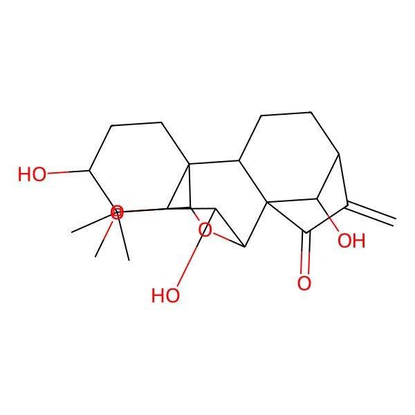 2D Structure of (1R,2S,5S,8S,9S,10S,11R,13S,16S,18R)-10,13,18-trihydroxy-16-methoxy-12,12-dimethyl-6-methylidene-17-oxapentacyclo[7.6.2.15,8.01,11.02,8]octadecan-7-one