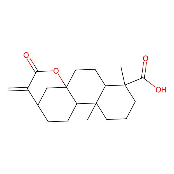 2D Structure of (1R,4S,5S,9S,10S,13R)-5,9-dimethyl-14-methylidene-15-oxo-16-oxatetracyclo[11.3.1.01,10.04,9]heptadecane-5-carboxylic acid