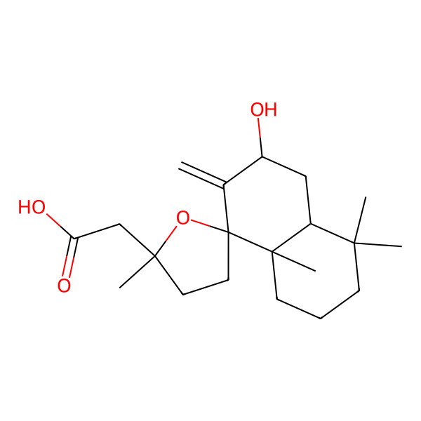 2D Structure of 2-[(2'R,4aS,6R,8S,8aS)-6-hydroxy-2',4,4,8a-tetramethyl-7-methylidenespiro[1,2,3,4a,5,6-hexahydronaphthalene-8,5'-oxolane]-2'-yl]acetic acid