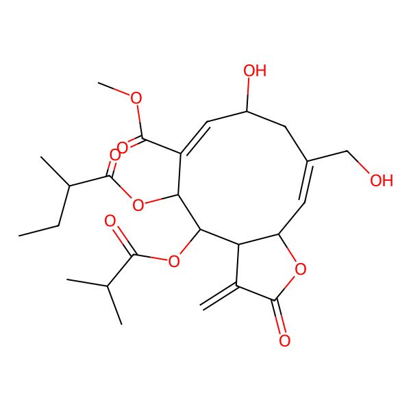 2D Structure of methyl (3aS,4R,5R,6E,8R,10E,11aR)-8-hydroxy-10-(hydroxymethyl)-5-[(2S)-2-methylbutanoyl]oxy-3-methylidene-4-(2-methylpropanoyloxy)-2-oxo-3a,4,5,8,9,11a-hexahydrocyclodeca[b]furan-6-carboxylate