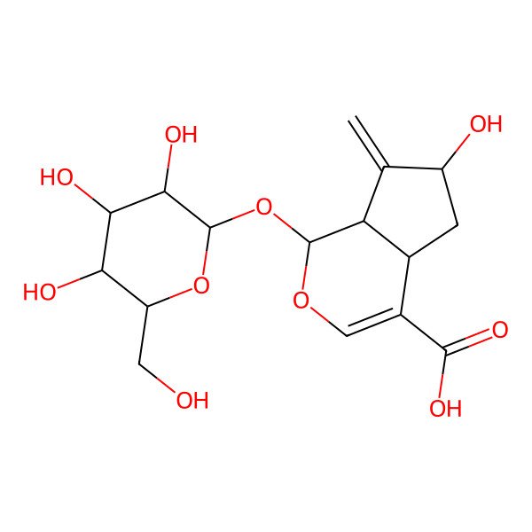 2D Structure of 6-hydroxy-7-methylidene-1-[3,4,5-trihydroxy-6-(hydroxymethyl)oxan-2-yl]oxy-4a,5,6,7a-tetrahydro-1H-cyclopenta[c]pyran-4-carboxylic acid