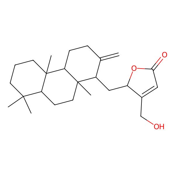 2D Structure of (2R)-2-[[(1R,4aS,4bS,8aS,10aR)-4b,8,8,10a-tetramethyl-2-methylidene-1,3,4,4a,5,6,7,8a,9,10-decahydrophenanthren-1-yl]methyl]-3-(hydroxymethyl)-2H-furan-5-one