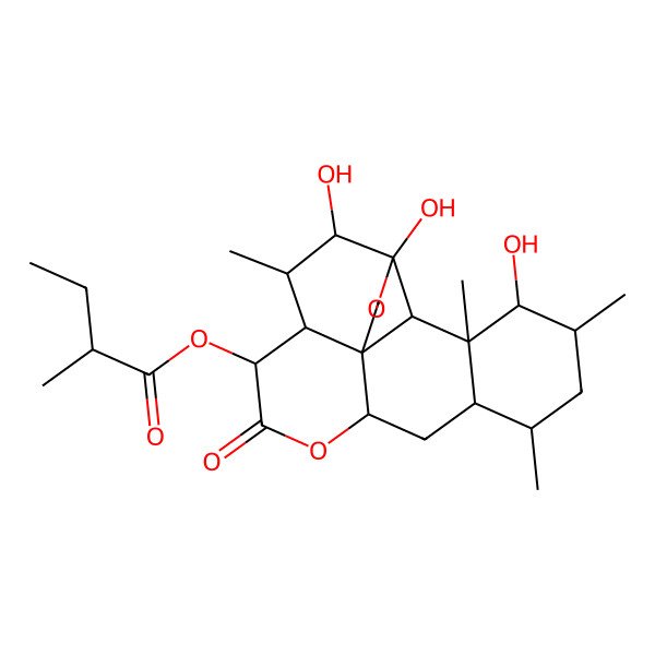 2D Structure of [(1S,4R,5R,6R,7S,8R,11R,13S,14S,16S,17R,18S,19R)-4,5,17-trihydroxy-6,14,16,18-tetramethyl-9-oxo-3,10-dioxapentacyclo[9.8.0.01,7.04,19.013,18]nonadecan-8-yl] (2R)-2-methylbutanoate