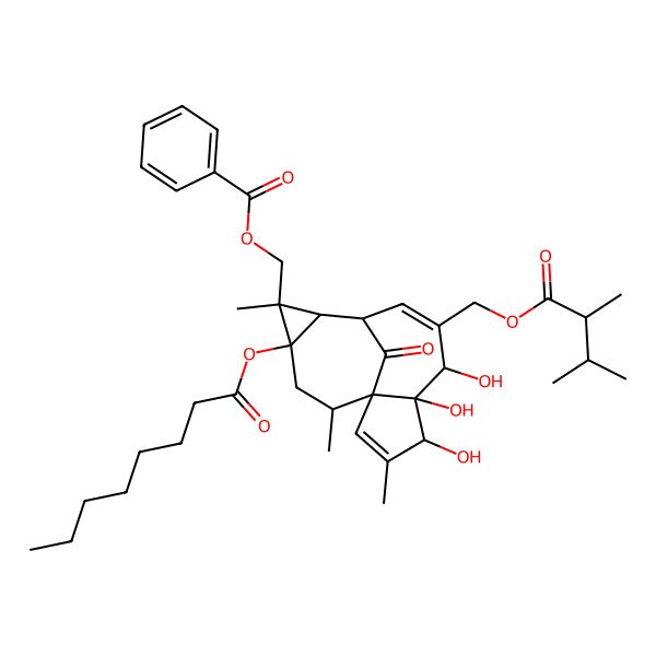 2D Structure of [(1S,4S,5R,6R,9S,10R,11R,12S,14R)-7-[[(2R)-2,3-dimethylbutanoyl]oxymethyl]-4,5,6-trihydroxy-3,11,14-trimethyl-12-octanoyloxy-15-oxo-11-tetracyclo[7.5.1.01,5.010,12]pentadeca-2,7-dienyl]methyl benzoate