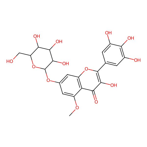 2D Structure of 3-hydroxy-5-methoxy-7-[(2S,3R,4S,5S,6R)-3,4,5-trihydroxy-6-(hydroxymethyl)oxan-2-yl]oxy-2-(3,4,5-trihydroxyphenyl)chromen-4-one
